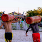 SAFRA DA CASTANHA 01