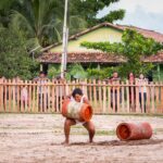 SAFRA DA CASTANHA 02