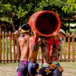 SAFRA DA CASTANHA 03